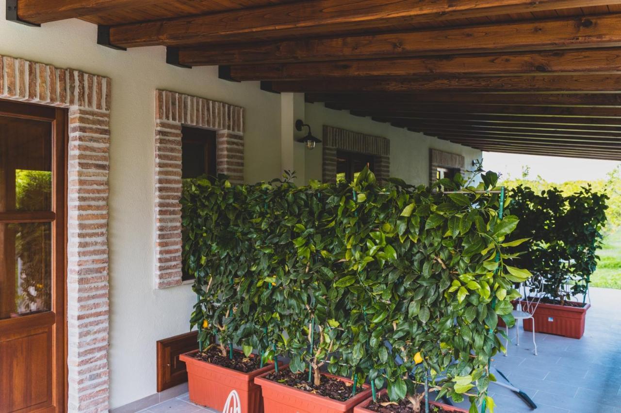 Il Limoneto Rooms Terme Vigliatore Exteriér fotografie