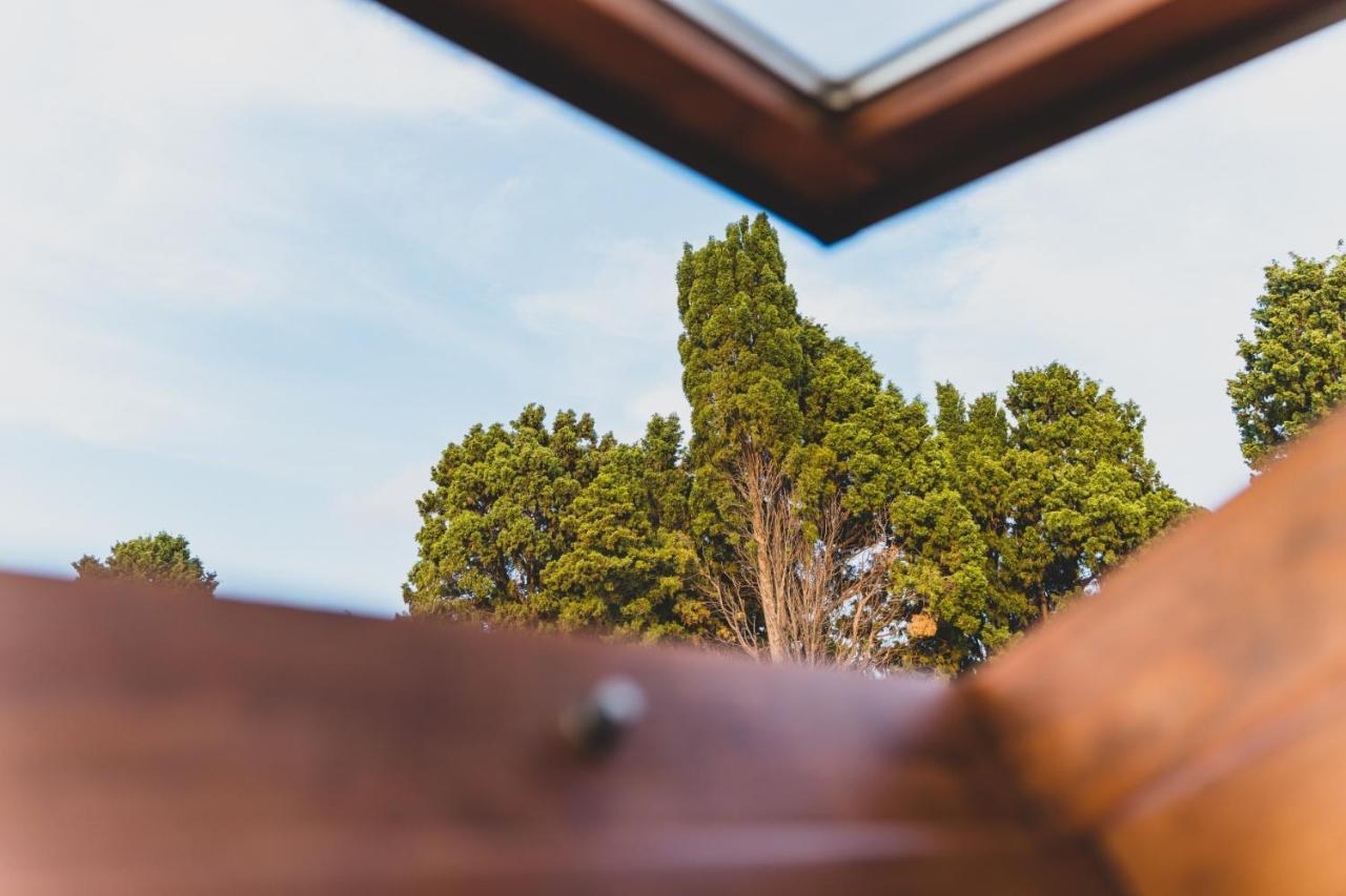 Il Limoneto Rooms Terme Vigliatore Exteriér fotografie