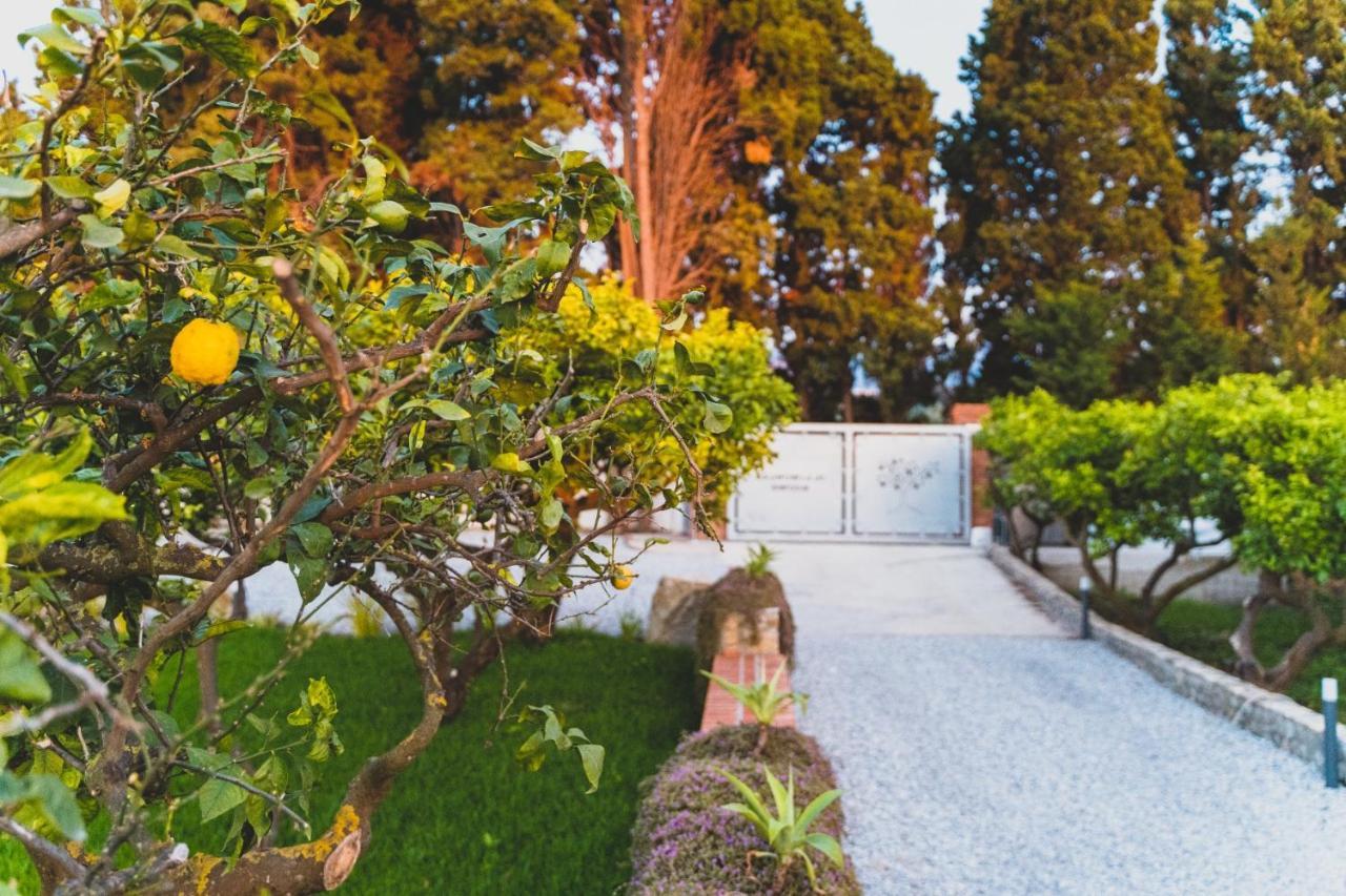 Il Limoneto Rooms Terme Vigliatore Exteriér fotografie